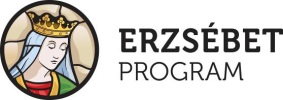 program